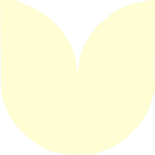 shape